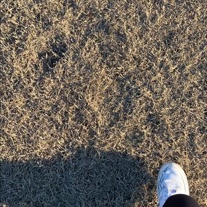 Meet your Posher, Jv